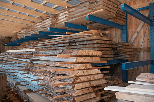 Holzlager 2023-1412.jpg