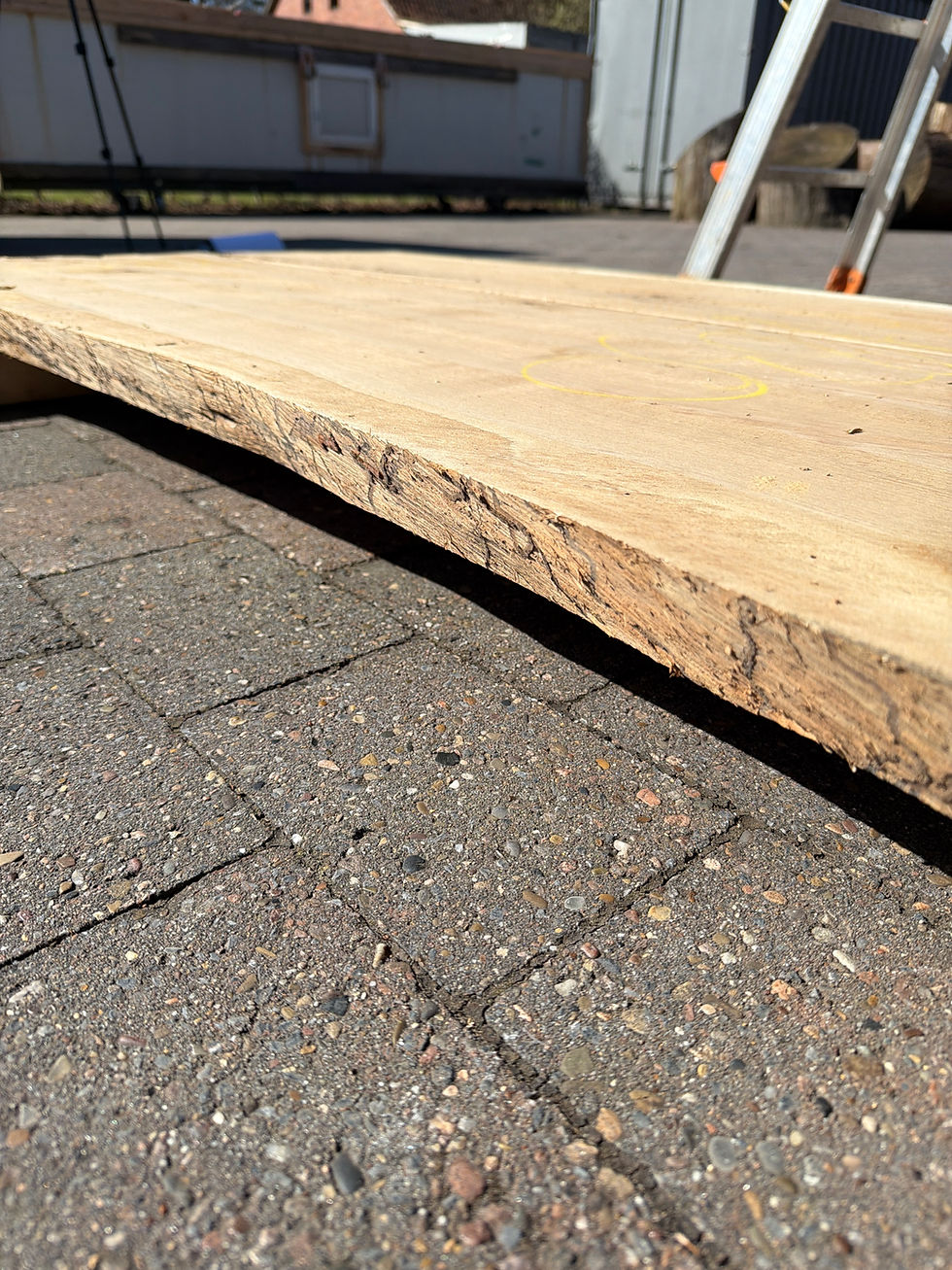 Miniaturbild: Eiche-Bohle 260704_B02