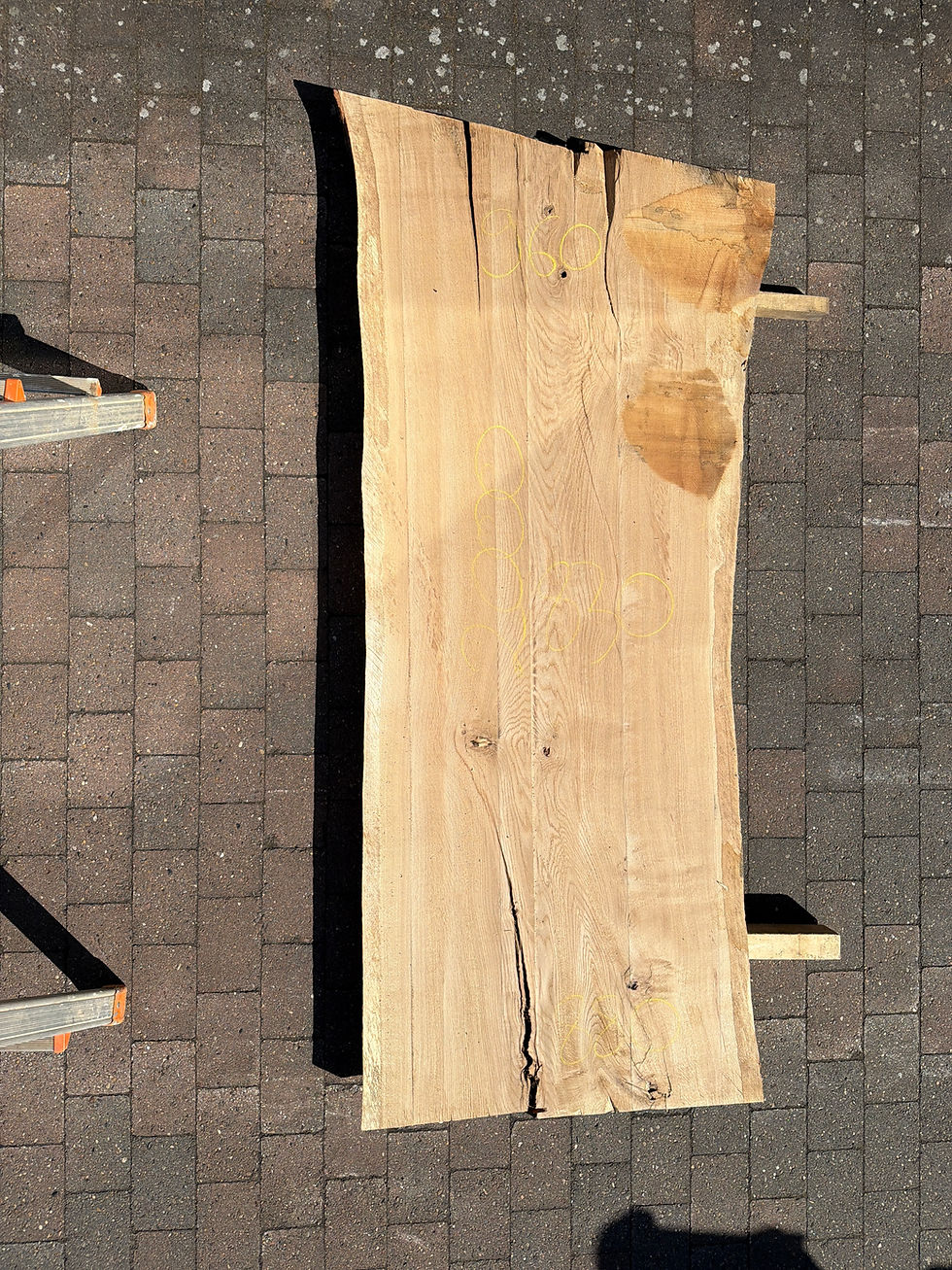 Miniaturbild: Eiche-Bohle 260704_B02