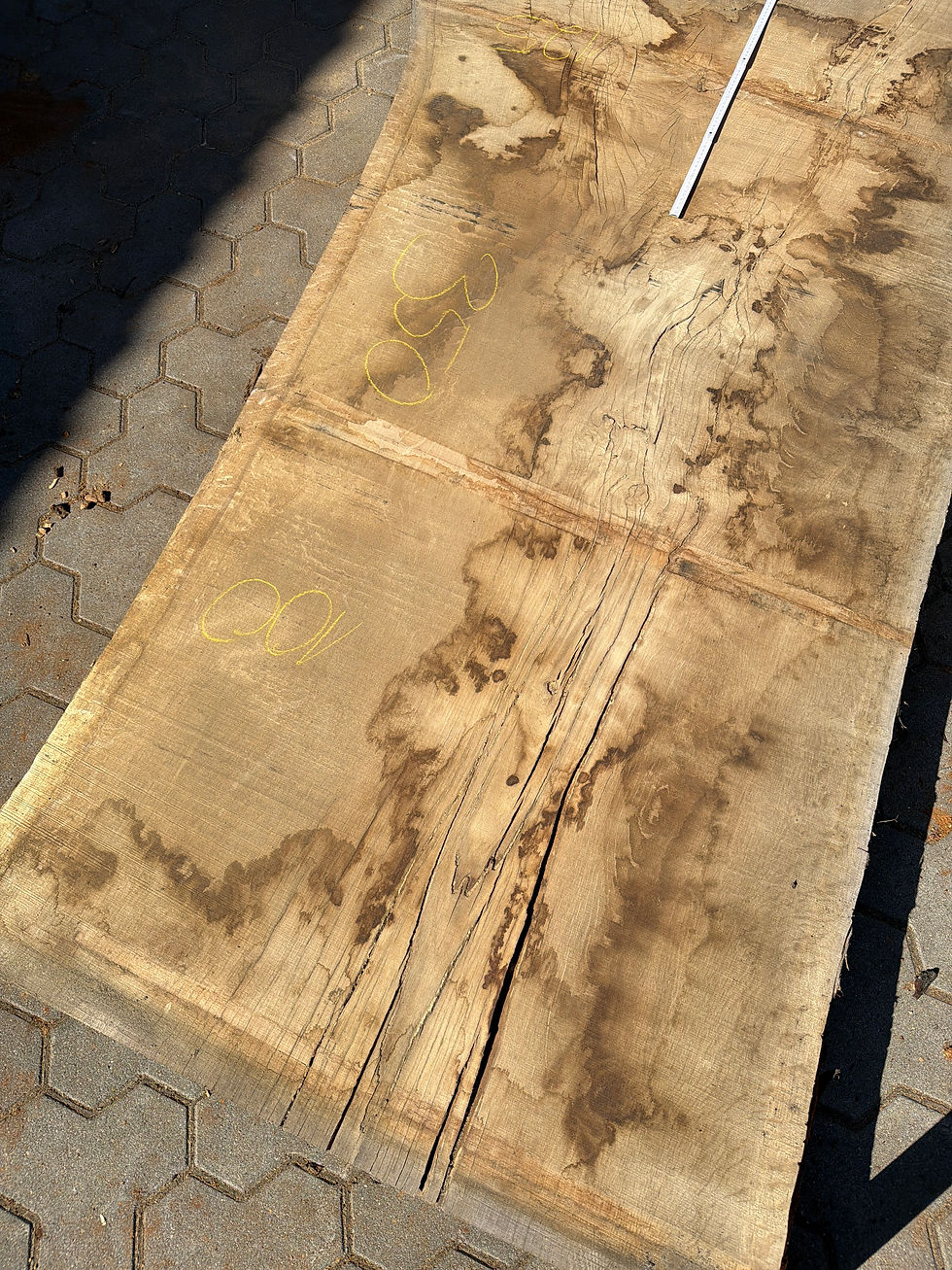 Miniaturbild: Eiche-Bohle 260704_B21