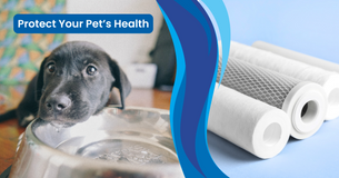 a puppy drinking water from a bowl