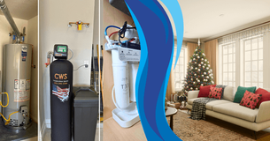 Water treatment systems next to a living room decorated for Christmas