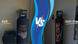 Salt vs. Salt-Free: Choosing the Right Water Softener or Conditioner