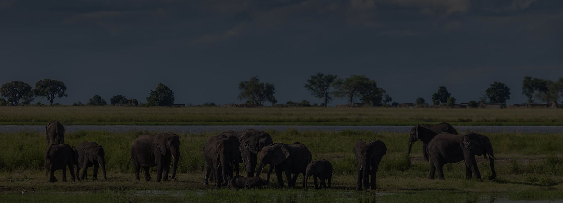 Africa