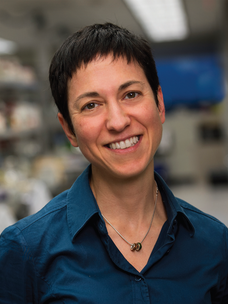 Dr. Carmela Tartaglia, MD