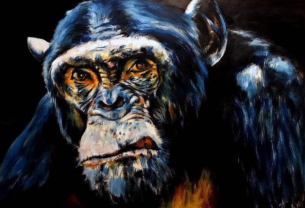 Chimp (oil on board 95cm x 65cm)s_s1.jpg