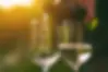 Pinot_Grigio.webp
