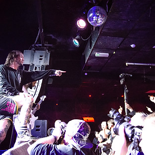 Cancer Bats