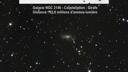 2 supernovæ dans la Girafe