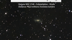 2 supernovæ dans la Girafe