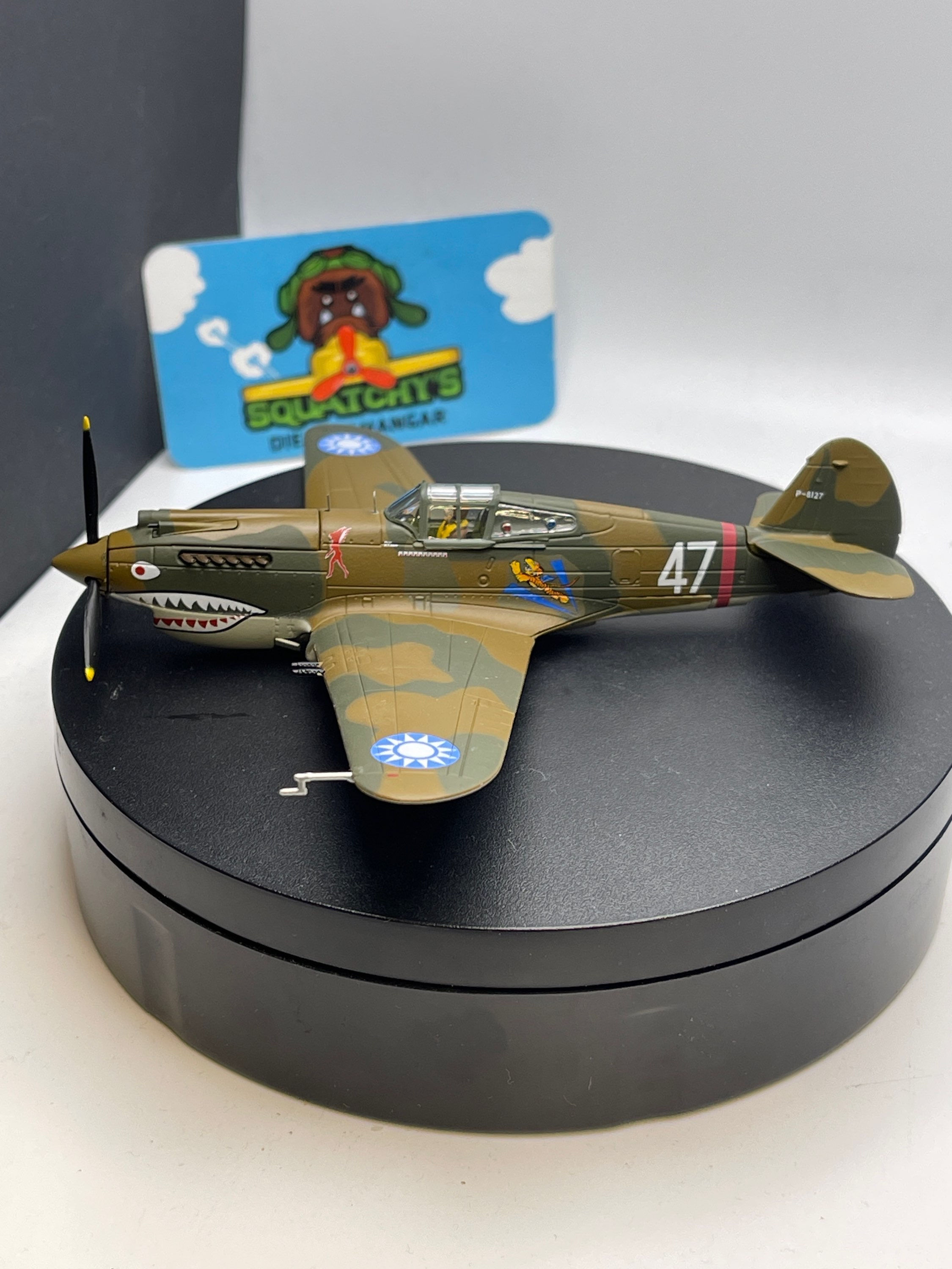 Curtiss Hawk 81-A-2 (AA28104)