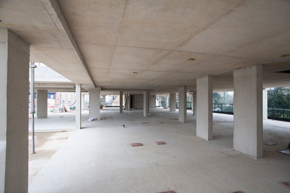 parsons green_goldmax__mg_69900510