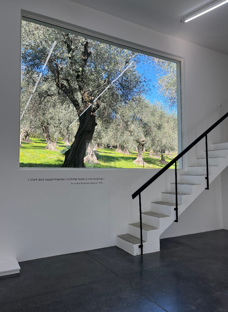From my visit to Studio Bergman in Antibes, March 2024