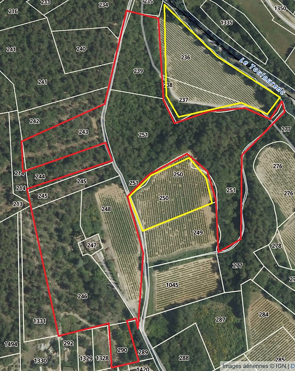 map vente serré.jpg