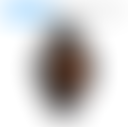 TicWatch Pro 3 Ultra GPS Smartwatch(AliExpress)R$668(imposto incluso)