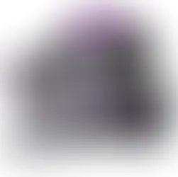 Wap Extratora Higienizadora Portátil Borrifa Esfrega e Extrai Sujeira Colchão Sofá W3 1450W -127v(Shopee)R$519,99 