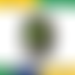 Xiaomi Amazfit Cheetah Square Smartwatch(AliExpress)R$669,69🇧🇷Produto no Brasil