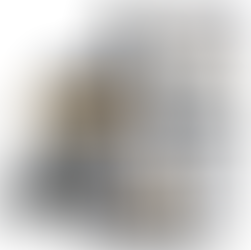 WAP Aspirador de Pó e Água Barril GTW INOX 15, Compacto, 14,8 Litros, com Filtro Lavável, 146mbar 1700W 127V ou 220V(Amazon)127V-R$368//220V-R$423(8X Sem Juros)