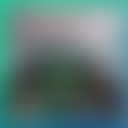 GameSir Tarantula Pro T3 Pro Gamepad Sem Fio para PC/Switch/IOS/Android com Efeito Hall e NFC(AliExpress)R$383,03 🇧🇷Produto no Brasil 