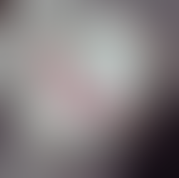 Aparelho de Jantar Grid em Porcelana Decorada 20 Peças Tramontina(Mercado Livre)R$152,15 (11X Sem Juros)