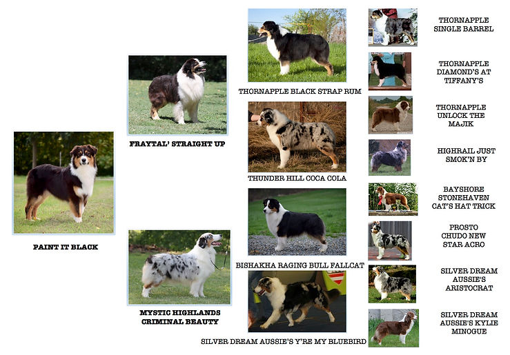 Copia di BLACK GENETICs.jpg