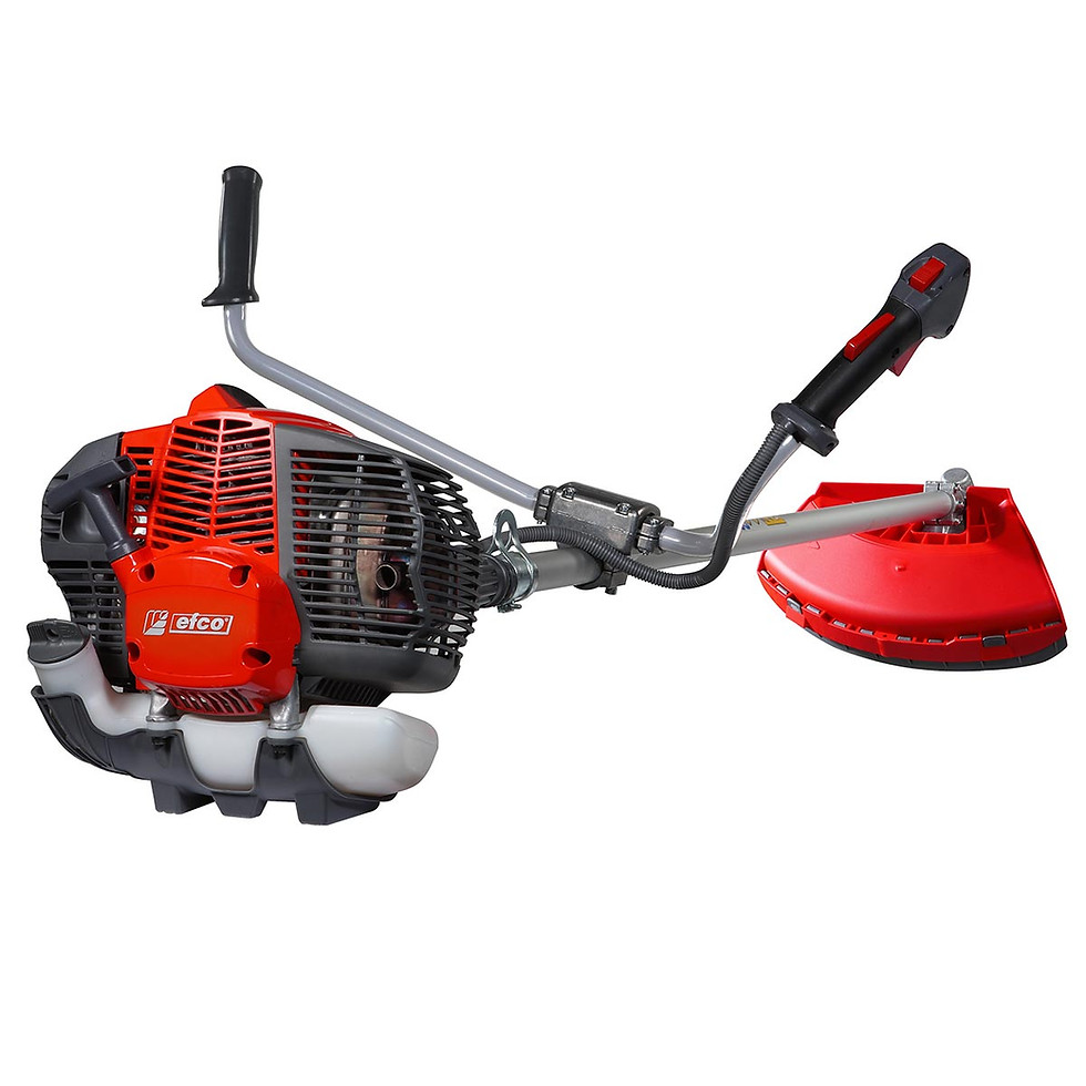 Miniatura: Decespugliatori professionali  DS 5300 T