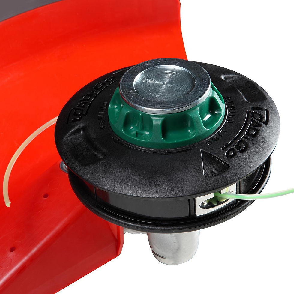 Miniatura: Decespugliatori professionali  DS 5300 T