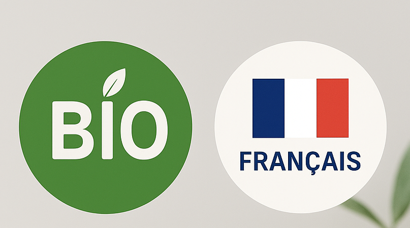 ChatGPT Image 6 nov. 2025, 19_28_46.png