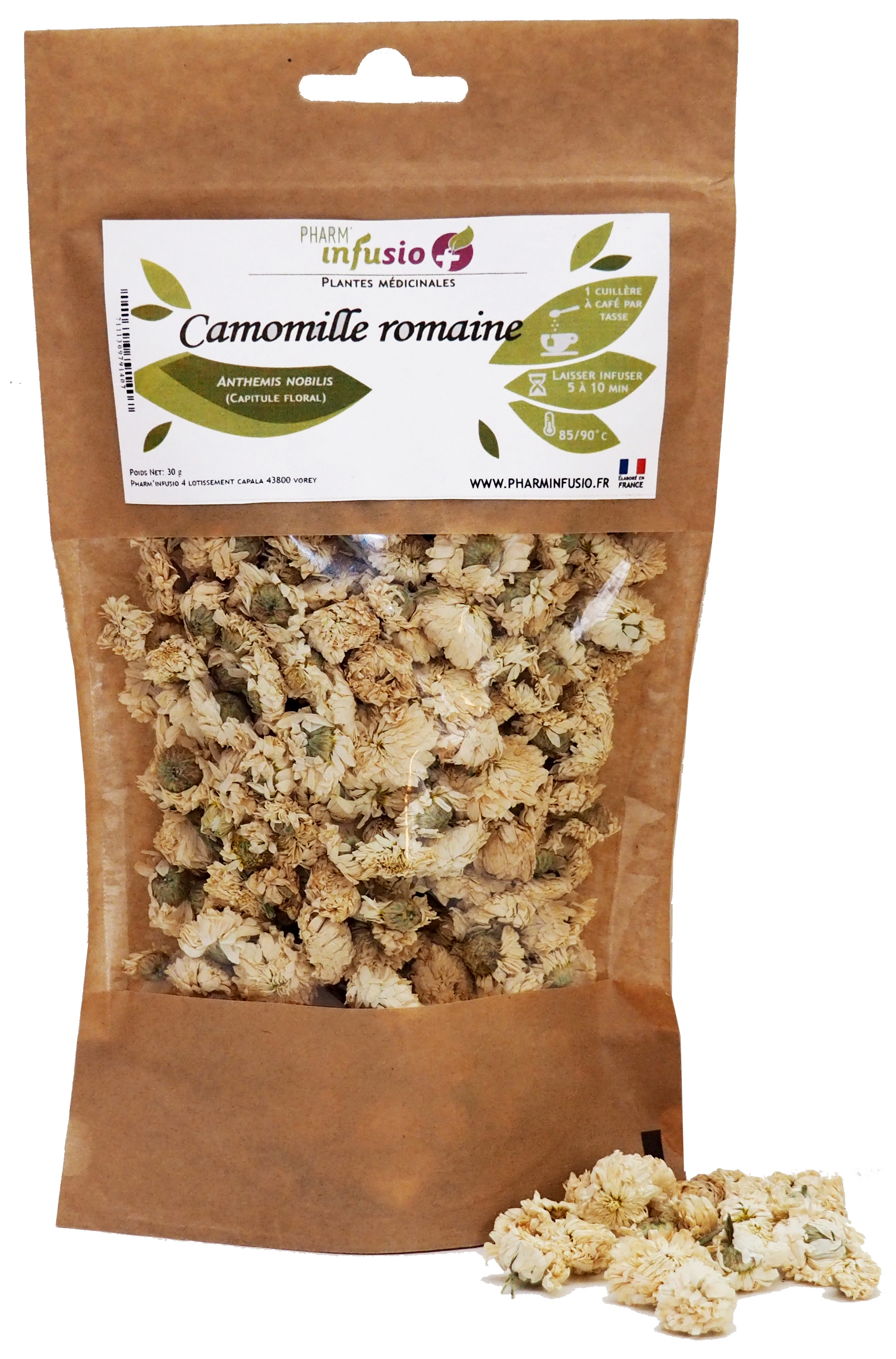 Camomille romaine