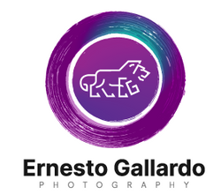 Ernesto Gallardo