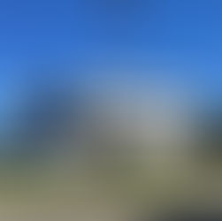 Construction Update: Pineywoods Community Academy New High School Campus