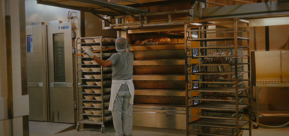 Komm mit in die Backstube der Bäckerei jung seit 1976 und erlebe den Nachtbetrieb aus nächster Nähe. Bei einem geführten Rundgang schaust du den Bäcker über die Schulter und verfolgst, wie Brot und Gebäck für den nächsten Morgen entstehen. Entdecke die einzelnen Arbeitsschritte, lerne das Handwerk hinter den Backwaren kennen und tauche in die besondere Atmosphäre einer Backstube bei Nacht ein.