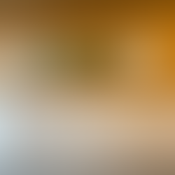 Wandinstallation des Made in Zürich Postens am Circular Quest auf dem Werkstadt Areal mit Produkten von Qwstion, Zuriga und Soeder.