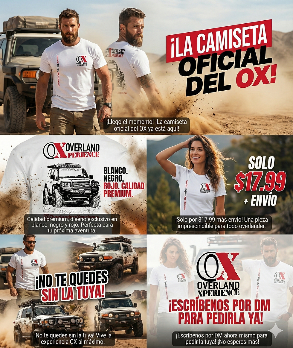Thumbnail: 2026 Official OX T-Shirt