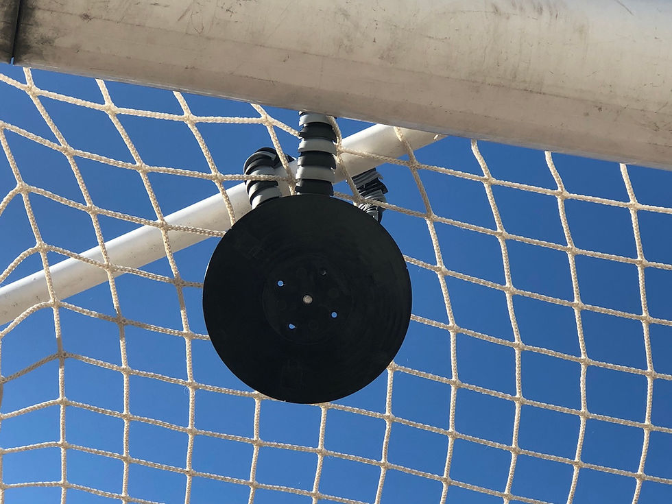 Thumbnail: reflexxrlt online