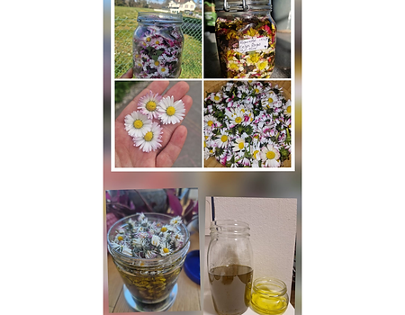 Design sans titre (20).png