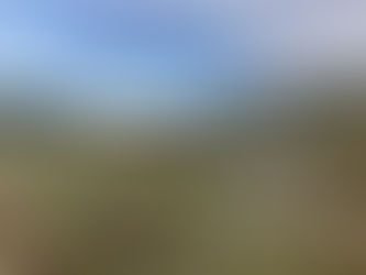 Avista PUD landscape with SEPA appeal problems