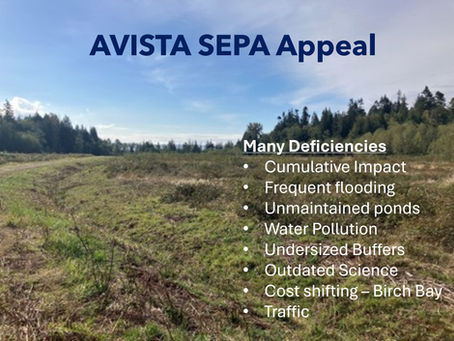 Avista PUD landscape with SEPA appeal problems