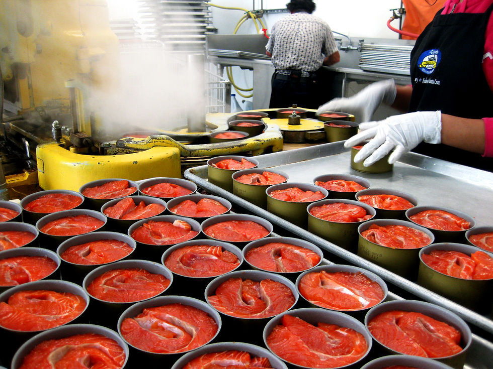 Thumbnail: Chunk King Salmon No Salt 3.25oz  3/pack