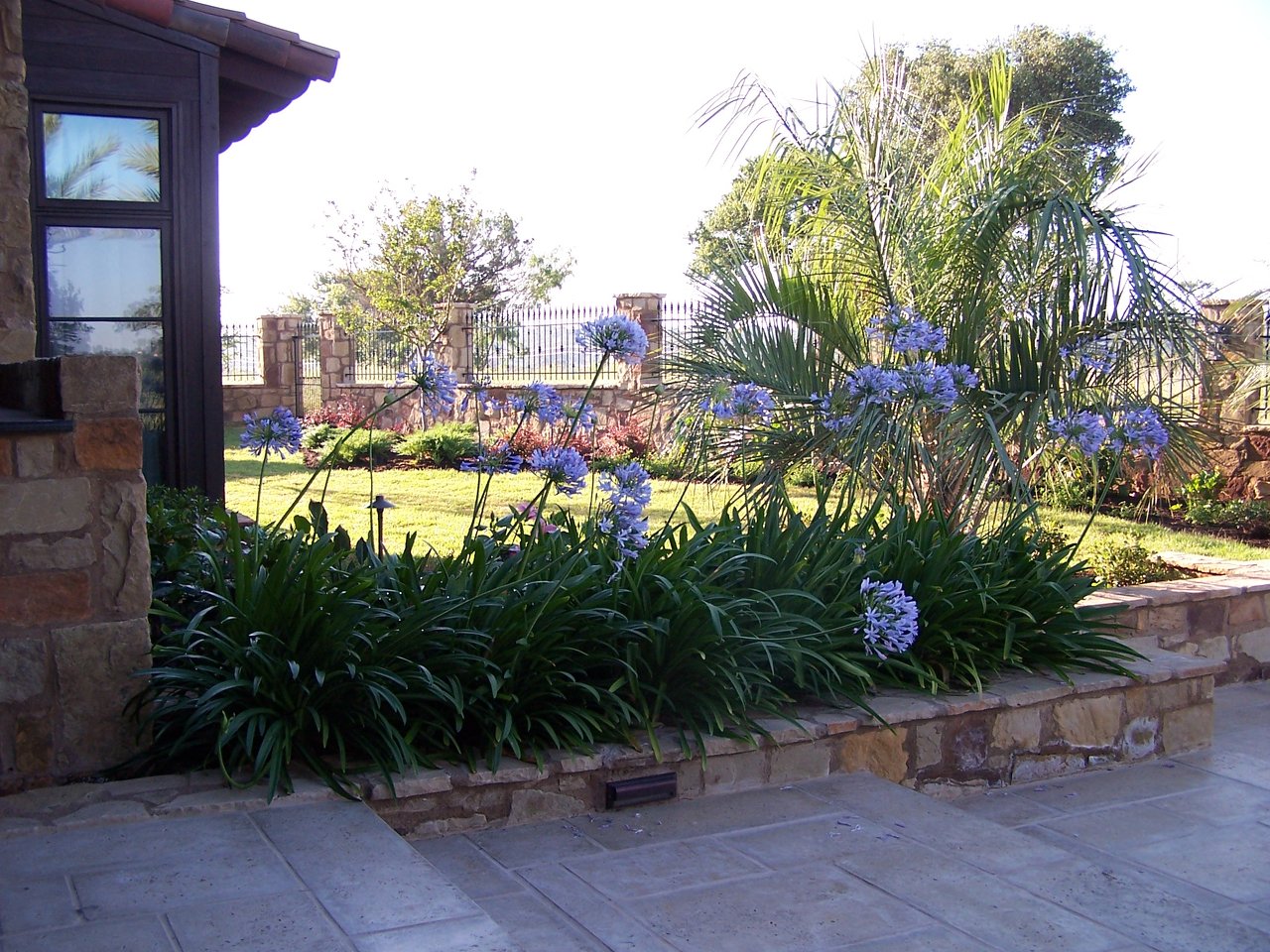JXC Landscaping Escondido TX