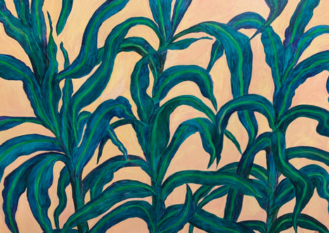 Illumination (2020), Acrylic on canvas, 36x48
