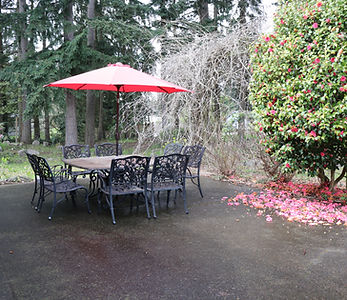 Back Yard 2.JPG