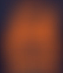 Sports Fans Are Nuts