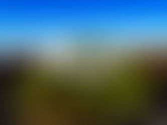 Devastating Maui Fire
(Updated - see below)