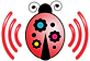 Red Ladybug