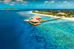 Kudafushi.jfif