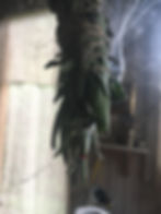 ree