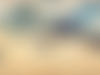 ABC's of Surfing: Asian Dreams