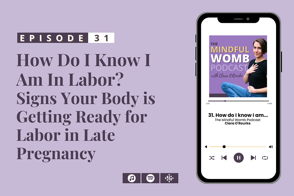 Laboring Sign #31: How do I Know I Am In Labor? Signs Your Body is Getting Ready for ...