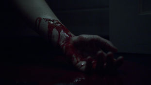 9C0F168D-3330-43F9-BB92-CF18C02B8CAD.jpeg